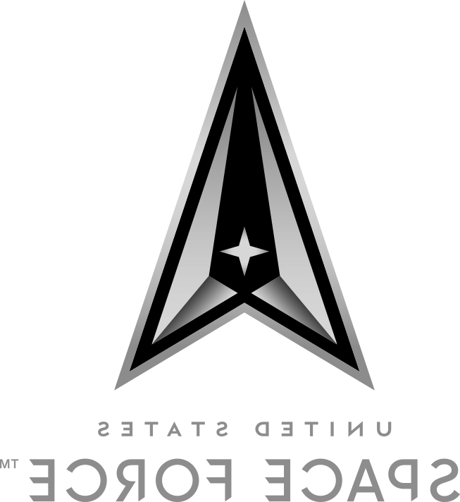 美国太空部队标志